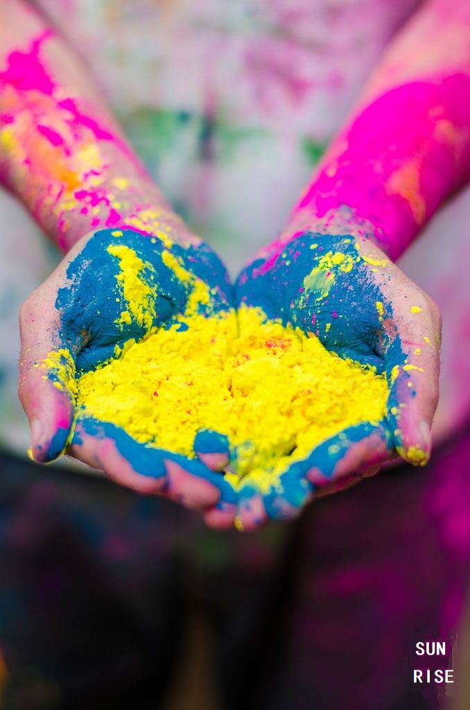 Holi Colours Powder